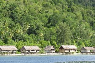 Pemprov Papua Agendakan Gelar Konferensi Internasional Ekowisata
