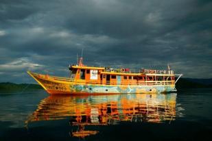 WWF Gelar Ekspedisi Saireri di Teluk Cenderawasih