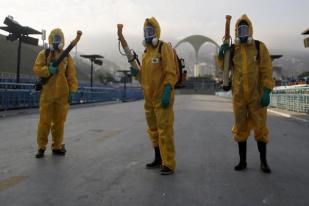 WHO: Peluang Penyebaran Zika di Olimpiade Brasil Kecil