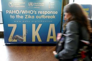 Bayi di AS Lahir Dengan Cacat Lahir karena Zika
