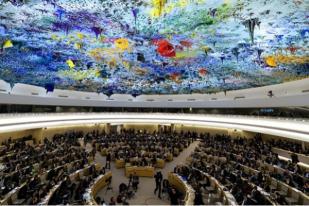 Kepulauan Solomon Angkat Lagi Pelanggaran HAM Papua di PBB