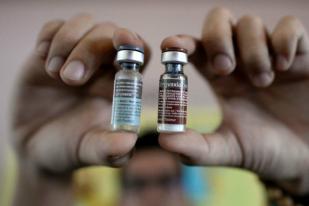 Brasil Luncurkan Program Imunisasi Demam Berdarah Publik Pertama