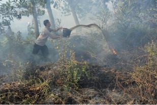Indonesia Bersiap Hadapi Musim Kebakaran Hutan