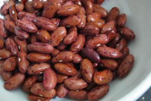 Kacang Merah, Pangan Murah Bergizi Tinggi