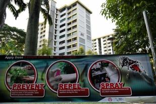 Malaysia Laporkan Dugaan Kasus Zika Pertamanya
