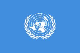 PBB: Kantong Plastik Dipertimbangkan Kena Cukai atau Dilarang