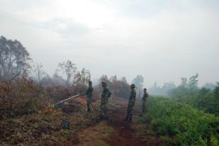 BMKG: 29 Titik Panas di Sumatera