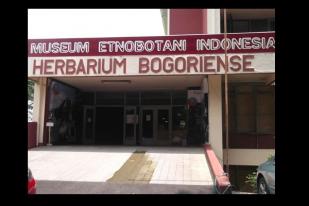 Museum Etnobotani Menjadi  Museum Nasional Sejarah Alam Indonesia