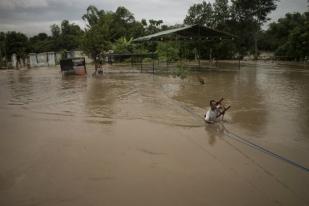Empat Distrik di Jayapura Berpotensi Banjir