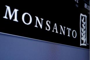 Bayer-Monsanto Janji Tidak Perkenalkan Bibit Transgenik di Eropa