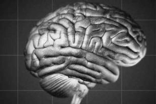 Peneliti Amerika Serikat Janjikan Pengobatan Alzheimer Baru