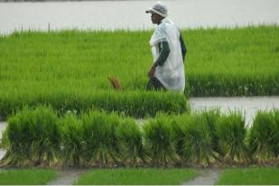 Menteri Agraria: Pulau Jawa Krisis Air