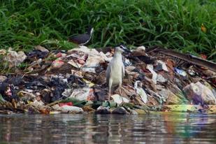 Indonesia Penyumbang Sampah Plastik di Laut Terbesar di Dunia