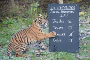 Kebun Binatang London Lakukan Sensus Tahunan Satwa Koleksi 
