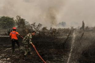 BMKG Deteksi Enam Titik Panas di Riau