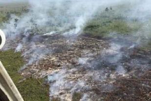  Riau Tetapkan Status Siaga Darurat Karhutla 2017