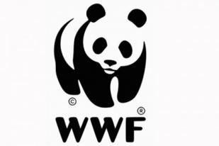 WWF Ajak Masyarakat Adat Jaga Habitat Cenderawasih