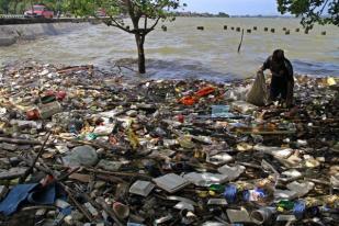 Menteri Susi Komitmen Tangani Dampak Sampah Plastik