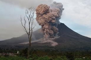 Badan Geologi Minta Masyarakat Jauhi Gunung Sinabung-Dukono