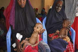Kekeringan dan Kelaparan di Somalia, Lebih dari 100 Tewas