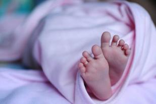Anggota DPR Sesalkan Kasus Kematian Bayi Debora