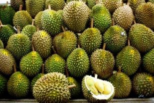 Potensi Durian Banyumas Miliaran Rupiah