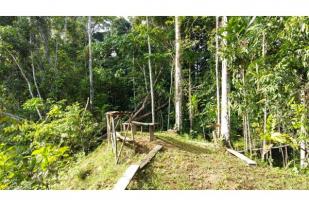 BUMN Dukung Pengembangan Ekowisata Jayapura