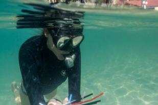 Sedotan Plastik akan Dilarang di Great Barrier Reef Australia