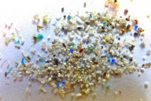 Italia Masuk Deretan Negara yang Larang Mikroplastik
