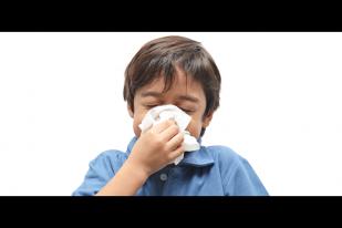 Wabah Flu Terus Memburuk di Amerika