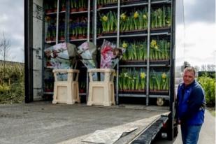 Bunga-bunga Belanda Dikirim ke Vatikan untuk Misa Paskah