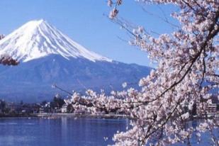 Kunjungan Turis Asing ke Jepang Meningkat Pada Tahun 2013