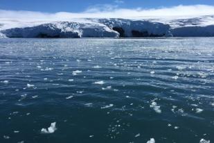 Suhu Naik 2 Celsius Bisa Cairkan Lapisan Es Antartika