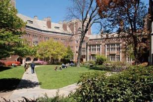 Yale University Sempat Ditutup akibat Isu Teror Penembakan 