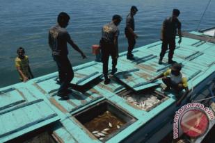 BPOM Minta Konsumen Waspadai Ikan Berformalin dari Jawa