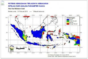 Kebakaran Hutan di Riau Tembus 1.136 Hektare