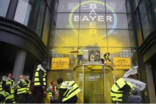 Tolak Pestisida, Aktivis Lingkungan Rusak Gedung Bayer di Prancis