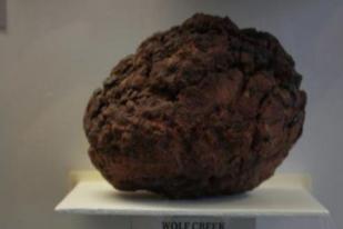 Pencuri Gasak Batu Meteor Senilai Rp 500 Juta di Queensland