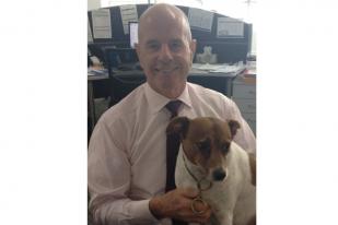 Perusahaan Australia Izinkan Pegawai Bawa Anjing Peliharaan