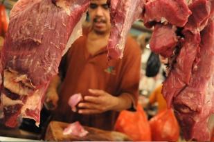 Anggota Komisi IV DPR Tidak Setuju Impor Daging Kerbau