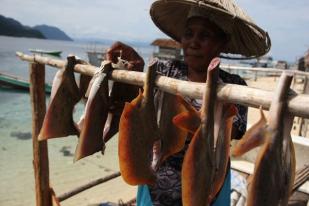 Produk Ikan Indonesia Bukukan Rp 131,7 Miliar di Taiwan
