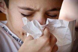 Cara Bedakan Batuk Pilek Alergi Atau Infeksi