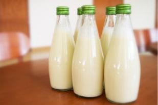 Minum Susu Mentah Dapat Sebabkan Penyakit