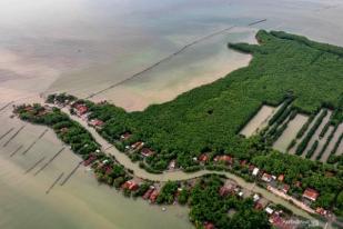 Kenaikan Muka Air Laut Ancam Pesisir Jakarta, Semarang, Demak
