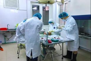 Virus Demam Babi Afrika Ditemukan di Phillipine