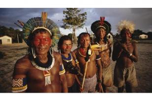 Suku-suku Asli Brasil Bersatu demi Selamatkan Hutan Amazon