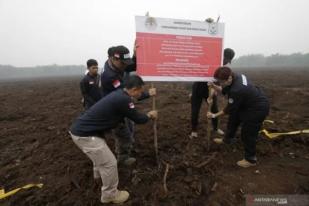 Karhutla, KLHK Segel Lahan Perusahaan Sawit Malaysia di Riau