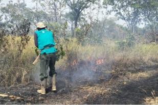 WWF-Indonesia Usul Indonesia Darurat Karhutla Selamatkan Hutan Tersisa