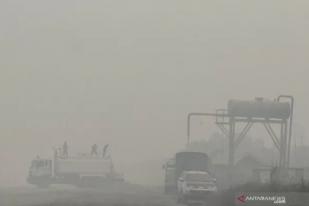 Gubernur Riau Tetapkan Darurat Pencemaran Udara Akibat Karhutla