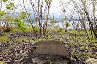 Balai Arkeologi Papua Temukan Peninggalan Megalitik di Yomokho